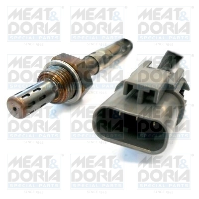 Oxygen Sensor